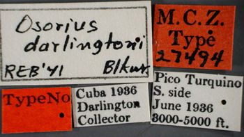Media type: image;   Entomology 27494 Aspect: labels